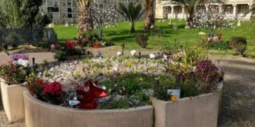 Degrado a Cagliari, il “Giardino dei Ricordi” di Bonaria usato dai gatti come lettiera