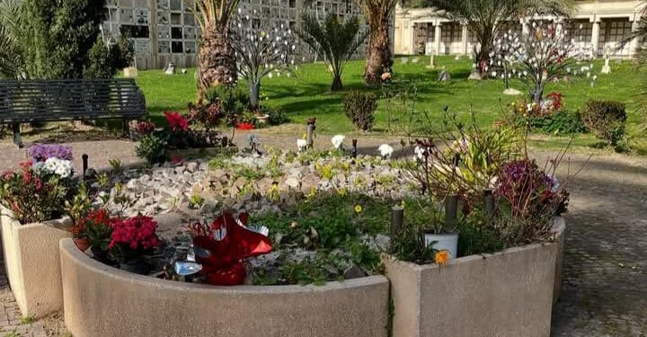 Degrado a Cagliari, il “Giardino dei Ricordi” di Bonaria usato dai gatti come lettiera