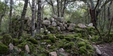 Assemini, il nuraghe immerso nel verde del Gutturu Mannu a rischio