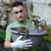 Rospi intrappolati in una presa d’acqua su un fiume, la difficile convivenza tra anfibi e infrastrutture in Sardegna