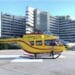 Travolto dall’albero che stava sdradicando, 74enne in coma al Brotzu di Cagliari