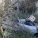 Discarica a cielo aperto nella Necropoli di Tuvixeddu: “Auto e altri oggetti abbandonati, qualcuno interverrà?”