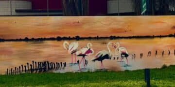 A Margine Rosso un murale dedicato a Molentargius: fenicotteri rosa a passeggio nell’acqua