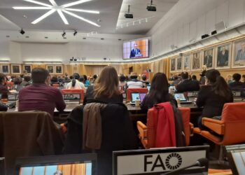 Dalla Sardegna alla conferenza Fao: il Pecorino Romano fra innovazione e sostenibilità