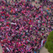 Cagliari, una centenaria fra le iscritte alla SoloWomenRun