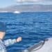 Ordigni bellici nel Golfo di Cagliari, stop alla navigazione