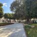 Cagliari, tutti pazzi per la nuova piazza Matteotti: tantissimi cittadini in fila per rivederla (VIDEO)