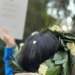 La forza delle donne sarde fra laurea, figli, carriera famiglia