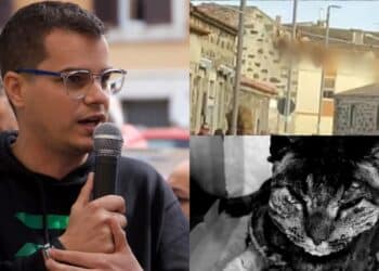 Cagliari, il 29 marzo manifestazione “per dire basta alle violenze sugli animali”