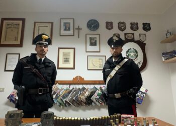 Munizioni illegali nell’ovile, pastore 36enne arrestato a Gonnosfanadiga