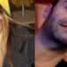 Nuovo giallo sul telefono di Francesca Deidda: misteriosamente riacceso per ore mesi dopo il delitto