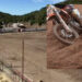 Guspini, sono stabili le condizioni di salute del ventenne caduto domenica durante la gara di motocross