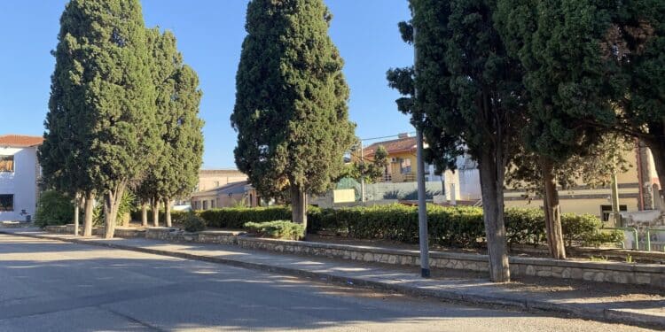 Sanluri, il restyling di piazza Mazzini assicura lunga vita ai cipressi storici