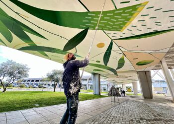 Cagliari, in aeroporto la Galleria degli Ulivi di Giorgio Casu dedicata ai viaggiatori