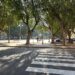 Piazza del Carmine, mai più del “crimine”: un palco e concerti ogni giorno per riportare le famiglie (VIDEO)