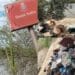 Sestu, tra i fenicotteri rosa una discarica di immondizia: a Stani Saliu l’inciviltà è di casa