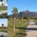 Villa San Pietro, il Parco Fluviale sul Rio Mannu diventa realtà