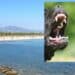 Sarroch, bimbo morso da un cane mentre rientra da scuola, il genitore: “Prestate attenzione e chi ha cani li tenga al guinzaglio”
