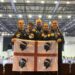 Grande successo della Edg Uta ai Campionati Italiani e Trofeo Italia kickboxing cadetti