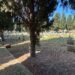Il caso del cimitero di San Michele, tombe profanato durante la notte ma anche cassonetti, ghiaia e pozzanghere ovunque (VIDEO)