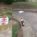 Cagliari, cartoline di degrado dai giardini pubblici: sporcizia e bottiglie rotte ovunque, notte alcolica in via Biasi