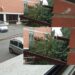 Cagliari, un grosso albero crolla in via Ranieri Sampante: “Segnalazioni ignorate da due anni”