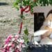 Un anno senza Francesca: “Sei una come noi, sei sempre una tra le tante”