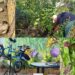 Quartucciu, una rassegna letteraria tra il verde dell’oasi l’Orto Giardino Mariposa de Cardu
