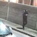 Topo d’auto con cappuccio e mascherina nuovamente in azione: due macchine vandalizzate e svuotate durante la notte a Foxi