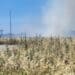 Assemini, al via la stagione degli incendi: a Cuccuru Macciori fumo e fuoco