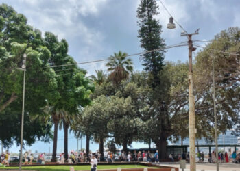Cagliari presa d’assalto dai crocieristi: in settemila alla scoperta della città