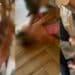Cagliari, corna e tradimenti dietro il brutale pestaggio fra due donne in un locale