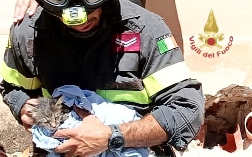 Iglesias, soccorso un gattino nell’area mineraria di Monteponi