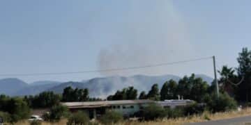 Siliqua, le fiamme divorano le campagne: rogo in località “Su Sorgiali”