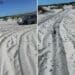A Porto Pino piste per fuoristrada nel bel mezzo delle dune: la denuncia del Grig