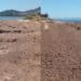 Torre degli Ulivi spiaggia delle alghe, scatta la protesta: “I residenti rivendicano risposte risolutive”