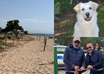 Capoterra città animal friendly: spiaggia, parco e passerella per i quattrozampe
