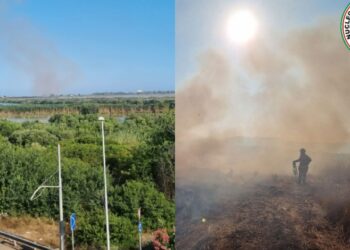 Quartu, un altro incendio in pochi giorni minaccia l’oasi del Parco Naturale di Molentargius