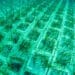 Posidonia oceanica: nuova vita sul fondale sardo con il progetto Tyrrhenian Link