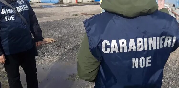 Assemini, denunciata un’imprenditrice per gestione e combustione illecita di rifiuti