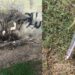 Cagliari, vandalizzata la chiesa di Sant’Alenixedda: falò sulla parete dell’edificio e siringhe buttate in terra