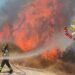 Cagliari, incendio tra via Peretti e via Jenner: le fiamme lambiscono il Brotzu e arrivano fino al parcheggio (VIDEO)