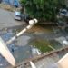 Cagliari, via Schiavazzi sommersa dai liquami: “Aprire le finestre è impossibile, c’è puzza ovunque. Viviamo barricati in casa”