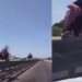 Statale 554 nel caos tra pedoni sul guardrail, bus assenti e pericoli continui: “Serve un ponte, così si rischia la vita”