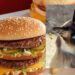 La colonia blocca i lavori, niente fast-food a Monserrato sino a quando i gatti non verranno messi in sicurezza