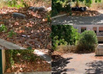 Capoterra, foglie e rifiuti minacciano il quartiere Area: troppo alto il rischio incendi