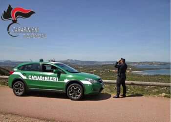 I carabinieri forestali festeggiano il patrono a Cagliari
