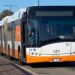 Cagliari: pulci, zecche, blatte e roditori via dai bus con maxi disinfestazione