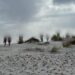 Turisti irrispettosi nuovamente al centro dell’attenzione: in gruppo sulle dune di Is Arenas