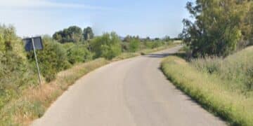Bordi strada in fiore lungo la Sp5 che collega Serrenti e Serramanna, preoccupazione da parte degli automobilisti